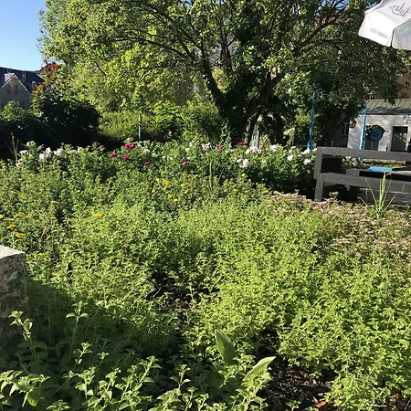 Bildungshaus St. Bernhard - Wohnen Und Tagen Rastatt